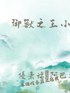 御兽之王小说