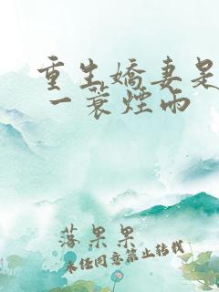 重生娇妻是大佬 一蓑烟雨