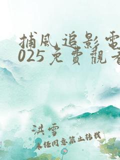 捕风追影电影2025免费观看中文版