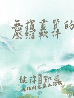 无损画质的视频压缩软件