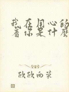 我在用心的来爱着你是什么歌的歌词