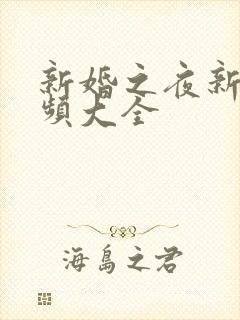 新婚之夜新手视频大全