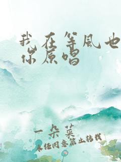 我在等风也在等你原唱