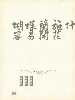 蝴蝶兰施什么肥容易开花