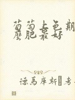 葡萄上色期用什么肥最好