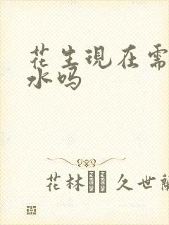 花生现在需要浇水吗