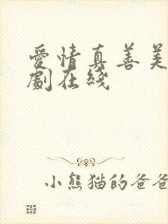 爱情真善美电视剧在线