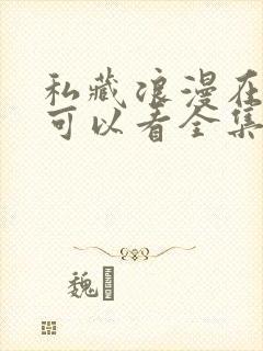 私藏浪漫在哪里可以看全集电视剧