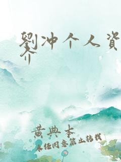 刘冲个人资料简介