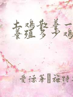 土鸡散养一亩地养殖多少鸡最合适