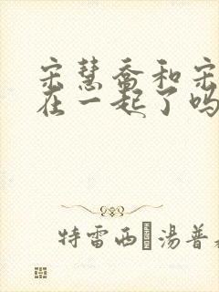 宋慧乔和宋承宪在一起了吗