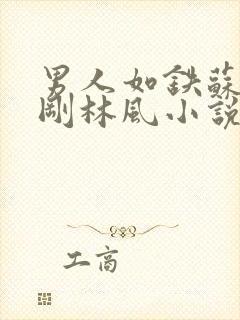 男人如铁苏柔赵刚林风小说
