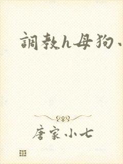 调教h母狗小说