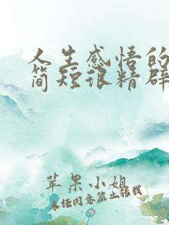 人生感悟的句子简短很精辟的那种