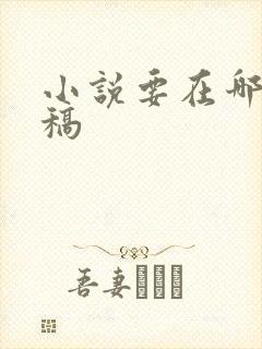 小说要在哪里投稿