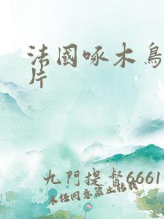 法国啄木鸟伦理片