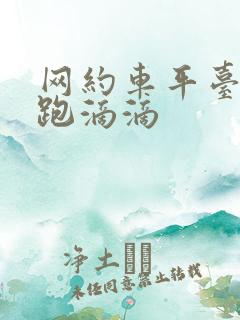 网约车平台租车跑滴滴