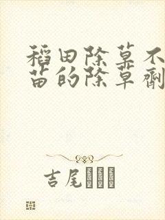 稻田除草不伤秧苗的除草剂