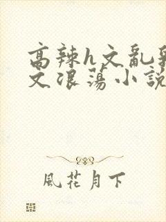 高辣h文乱乳h文浪荡小说苏卿