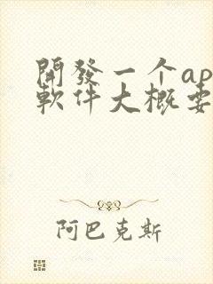 开发一个app软件大概要多少钱
