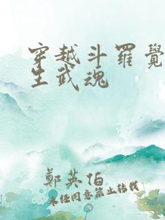 穿越斗罗觉醒四生武魂
