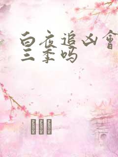 白夜追凶会有第三季吗