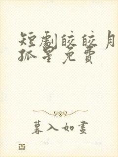 短剧皎皎月色落孤星免费