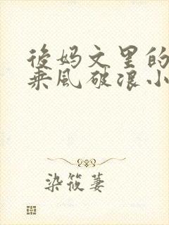 后妈文里的亲妈乘风破浪小说免费阅读