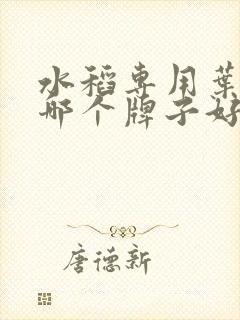 水稻专用叶面肥哪个牌子好