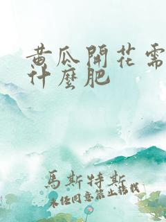 黄瓜开花需要施什么肥