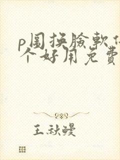 p图换脸软件哪个好用免费