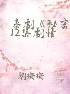 泰剧《秘密爱》12集剧情