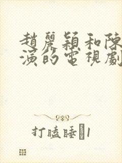 赵丽颖和陈晓主演的电视剧