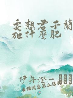 要想君子兰开花施什么肥
