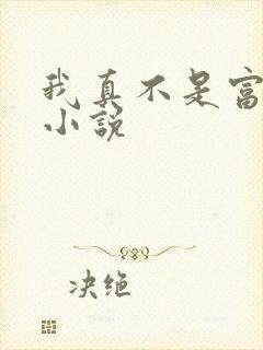 我真不是富二代小说