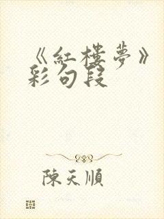 《红楼梦》的精彩句段