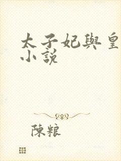 太子妃与皇上的小说