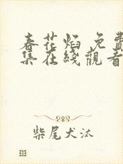春花焰 免费全集在线观看