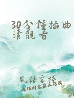 30分钟插曲高清观看