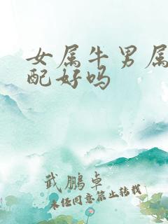 女属牛男属马婚配好吗