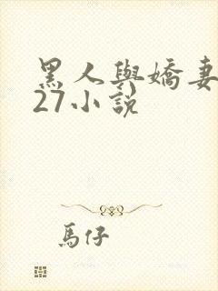 黑人与娇妻1～27小说