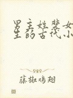 男主姓裴女主重生的古代小说