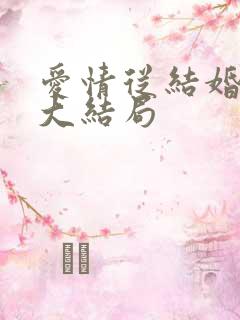 爱情从结婚开始大结局