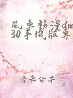 风车动漫dm530手机版专