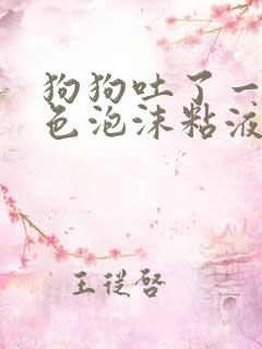 狗狗吐了一滩白色泡沫粘液还拉稀