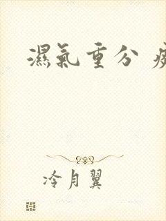 湿气重分 痰湿