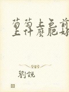 葡萄上色前应该上什么肥好啊