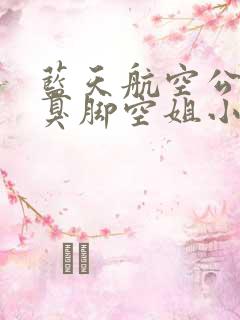 蓝天航空公司的臭脚空姐小说