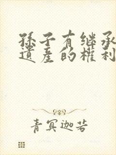孙子有继承奶奶遗产的权利吗