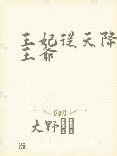 王妃从天降砸到王爷